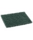 Royal Green Medium Duty Scouring Pads 3.5 Inch x 5 Inch Package of 40