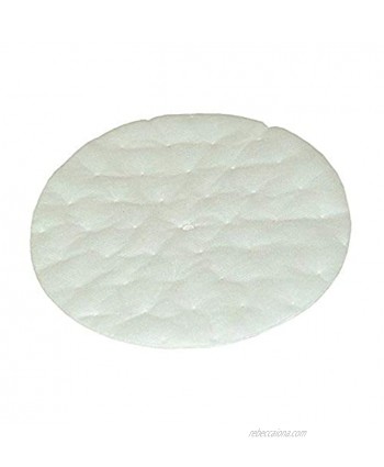 ProTeam 101220 High Filtration Discs for Dome Filter 2 Pack