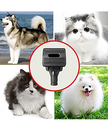 Dog Pet Grooming Brush Compatible with Dyson V15 V11 V10 V8 V7 V6 DC58 DC59 Vacuum Cleaner with Quick Release Converter Adapter Groom Tool Pet Hair Vacuum Attachment