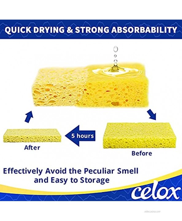 CELOX 24 Pack Durable Kitchen Sponges Natural Wood Pulp Sponges for Dishes Absorbent Cellulose Sponges Bulk for Cleaning Kitchen Bathroom DIY for Kids 4.3 x 2.6 x 0.5