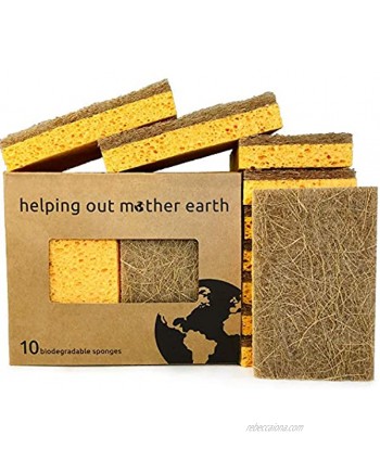 Natural Sponge 10 Pack Eco Friendly Kitchen Sponge for Sustainable Living | Biodegradable Plant Based Cleaning Dish Sponge