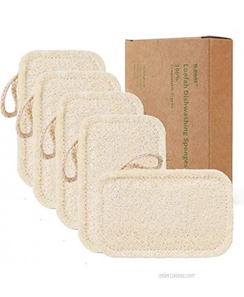 Natural Sponges for Dishes Loofah Dish Sponges Eco-Friendly Biodegradable Washing Up Vegetable Sponges No Odor Scrubber for Dishes 5 Pack