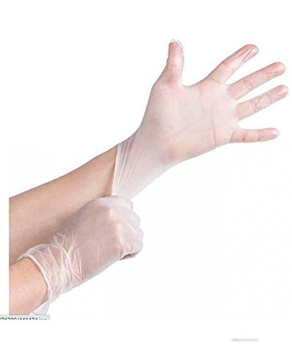 Noble Disposable Gloves Clear Large Powder-Free Disposable Vinyl Gloves for Foodservice Large Size Pack of 100