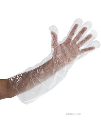 Royal Elbow Disposable Poly Gloves 21.5 Inch Box of 100